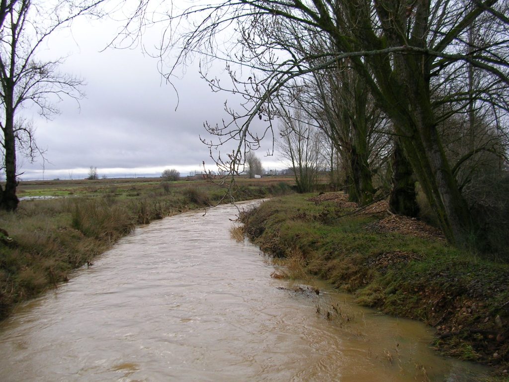 Foto: El Reguero En Invierno - Zuares Del Páramo (León), España