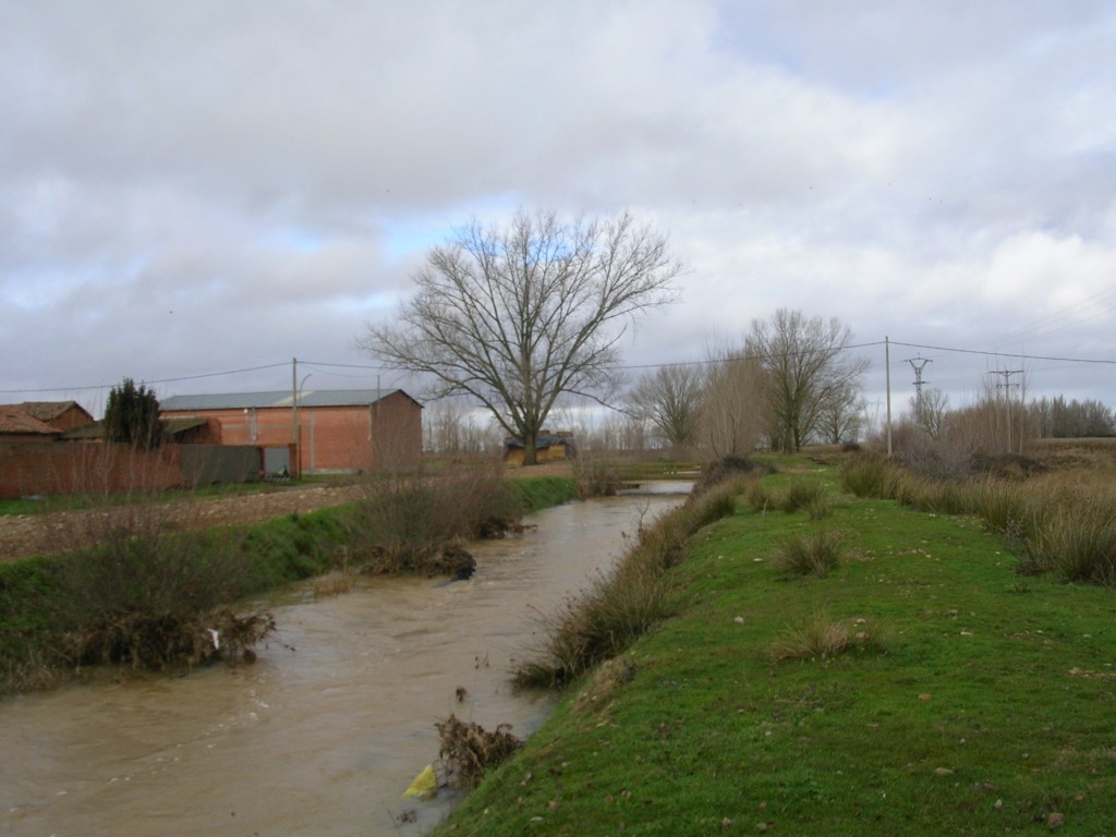 Foto: El Reguero - Zuares Del Páramo (León), España