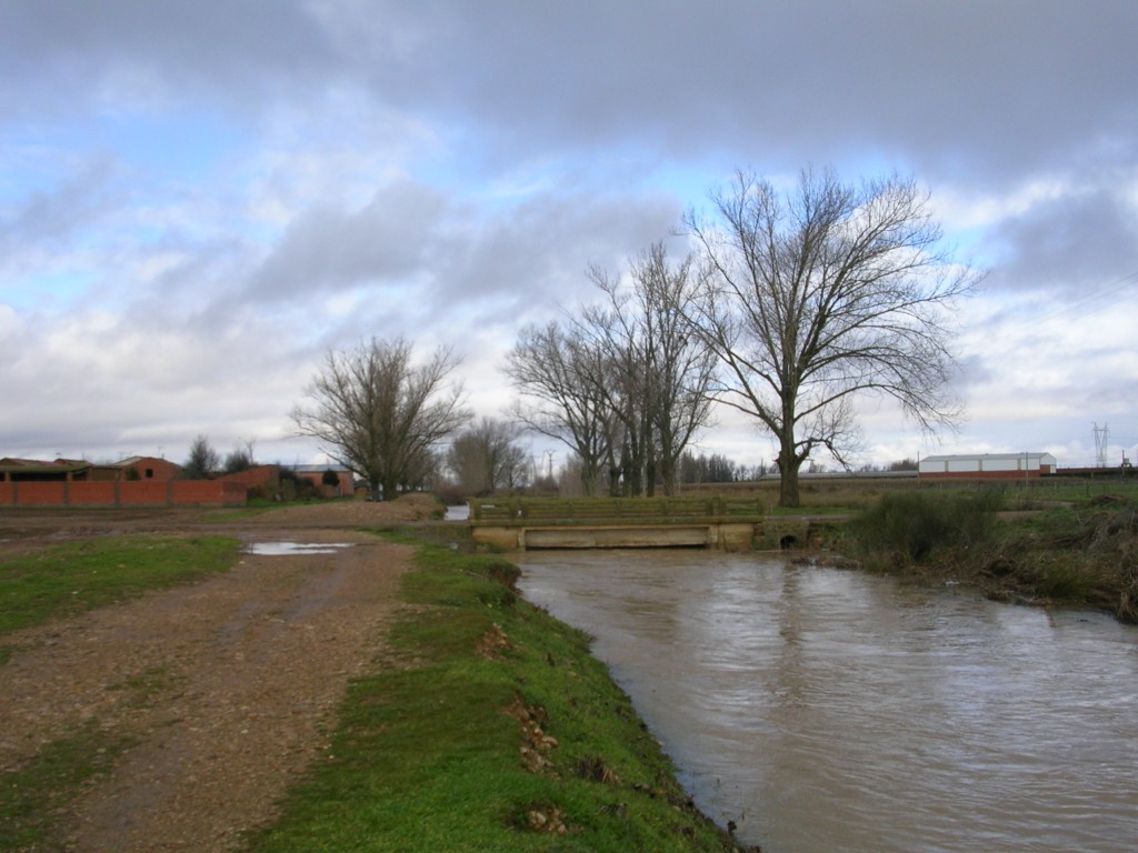 Foto: Mirando El Puente - Zuares Del Páramo (León), España