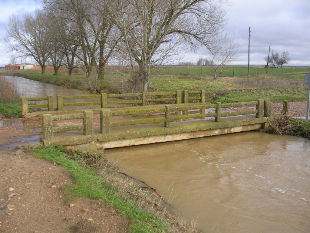 Foto: El Puente  De Vallejo - Zuares Del Páramo (León), España