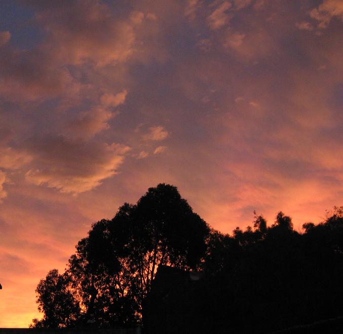 Foto: precioso atardecer - Montevideo, Uruguay