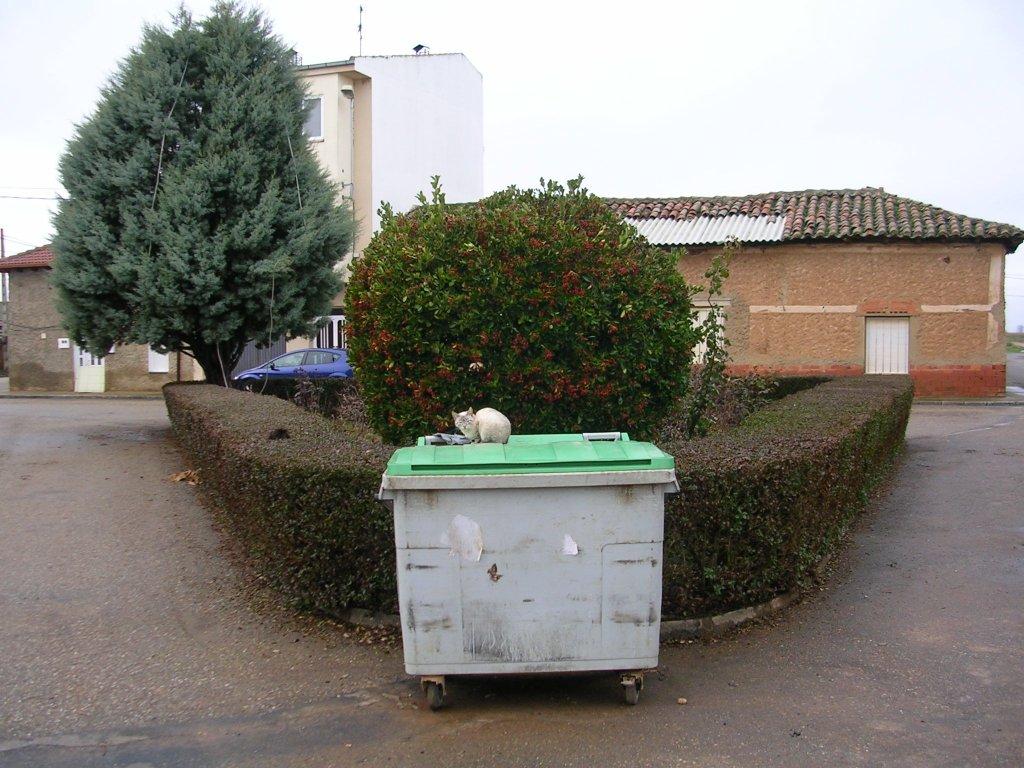 Foto: Calle Arriba - Zuares Del Páramo (León), España