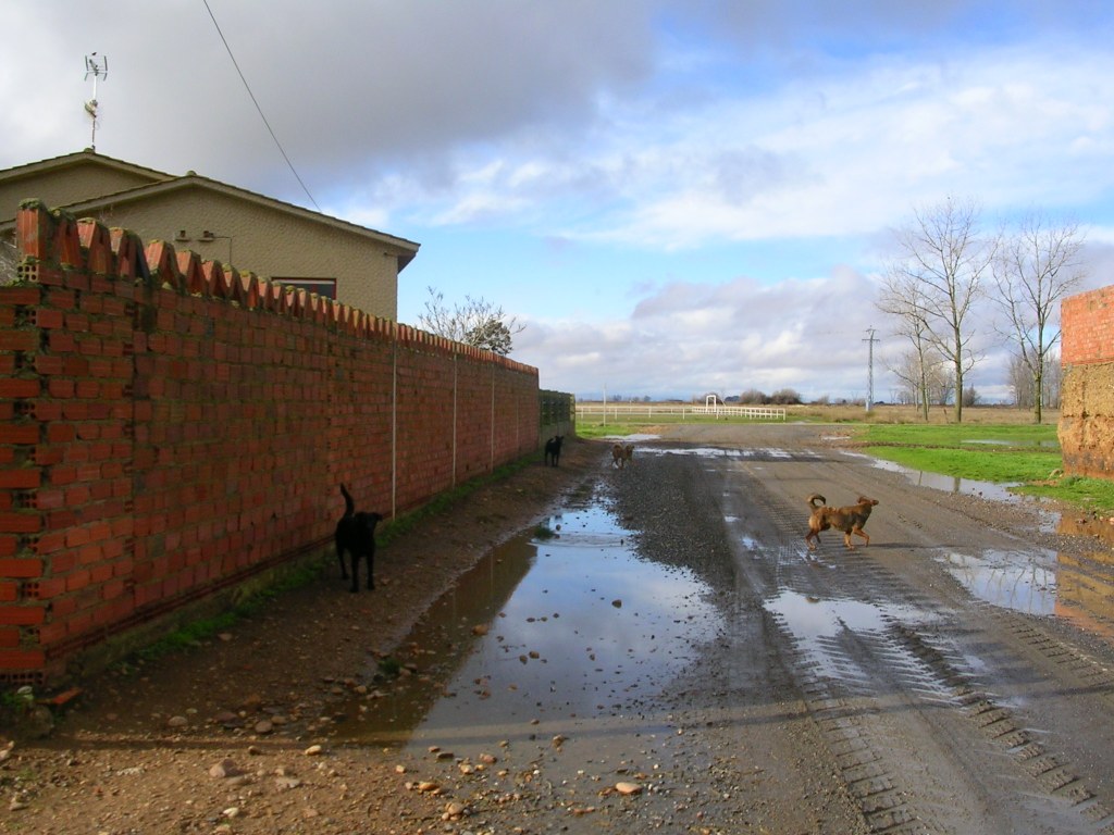 Foto: C/ Jose Barrera - Zuares Del Páramo (León), España