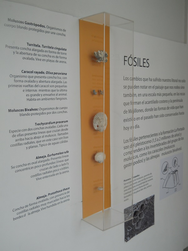 Foto: Antofagasta - Antofagasta, Chile