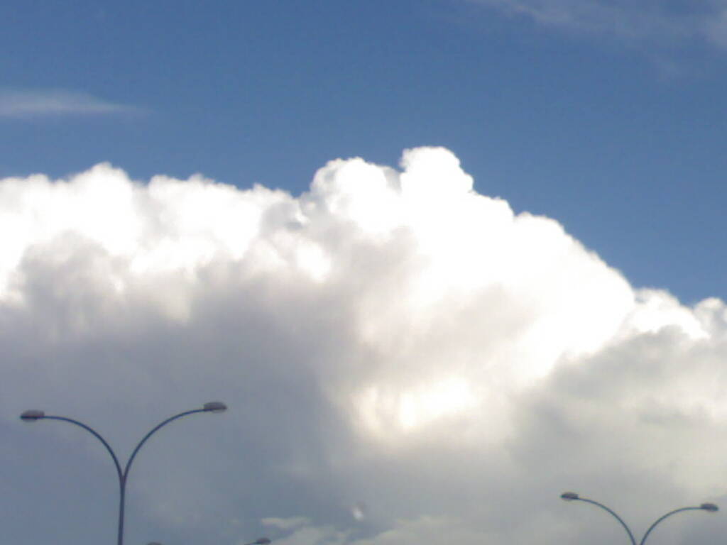 Foto: PELOCAQUI - Palma Del Rio (Córdoba), España