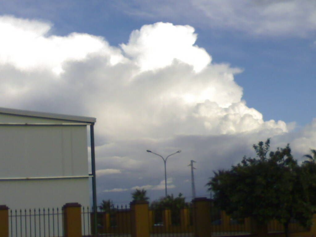 Foto: PELOCAQUI - Palma Del Rio (Córdoba), España