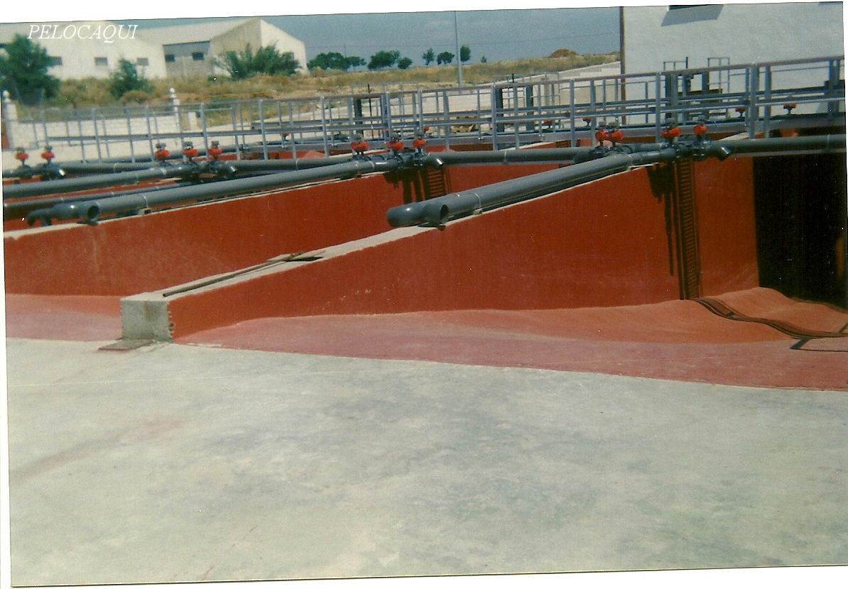 Foto: PELOCAQUI - Palma Del Rio (Córdoba), España