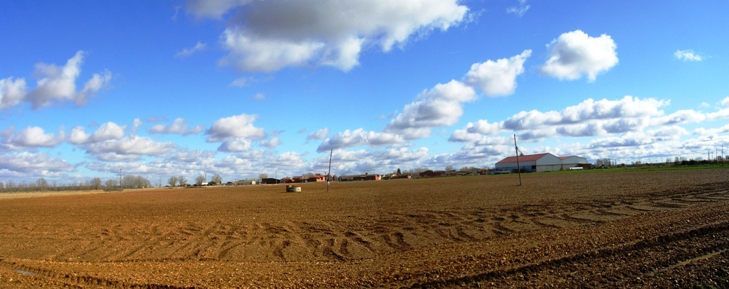 Foto: Panoramica Del Campo - Zuares Del Pàramo (León), España