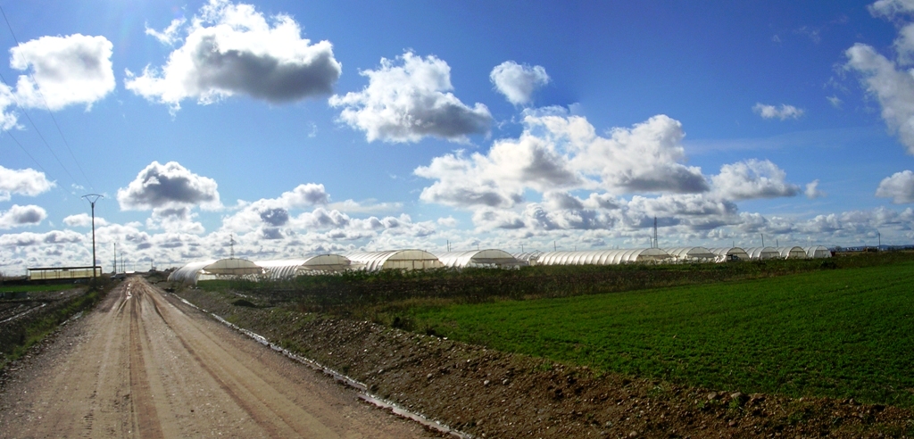 Foto: Panoràmica Del Invernadero - Zuares Del Pàramo (León), España