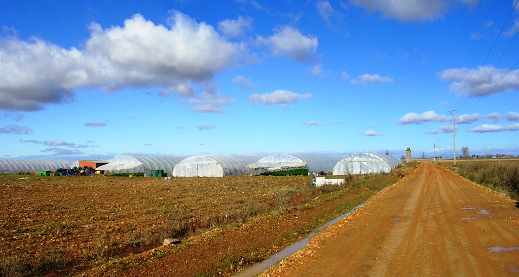 Foto: Panoràmica Del Invernadero - Zuares Del Pàramo (León), España