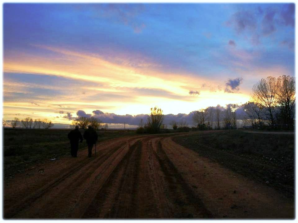 Foto: Panoràmica Del Camino En Septiembre - Zuares Del Pàramo (León), España