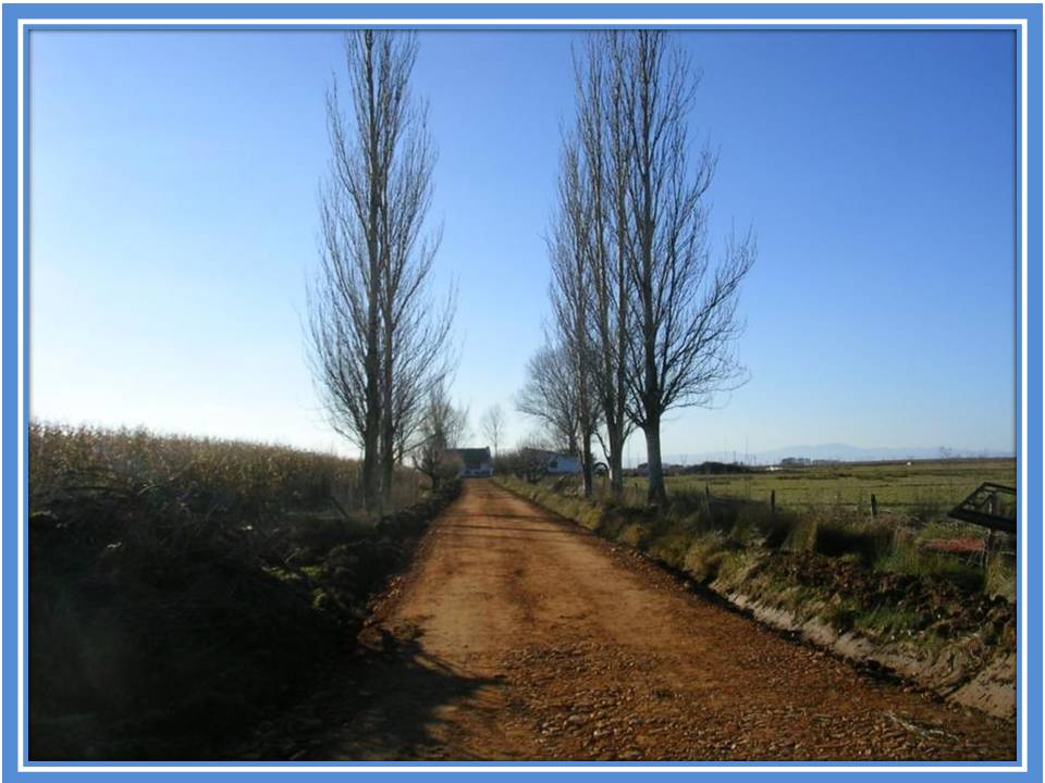 Foto: Nuevo Camino Ala Finca - Zuares Del Paramo (León), España