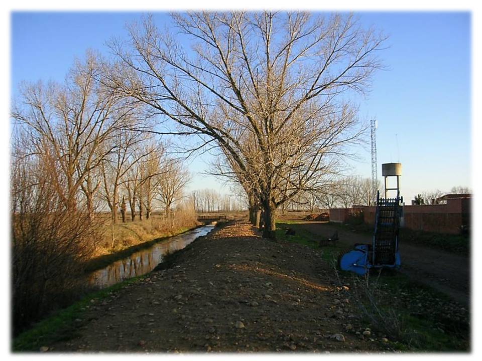 Foto: El Reguero - Zuares Del Paramo (León), España