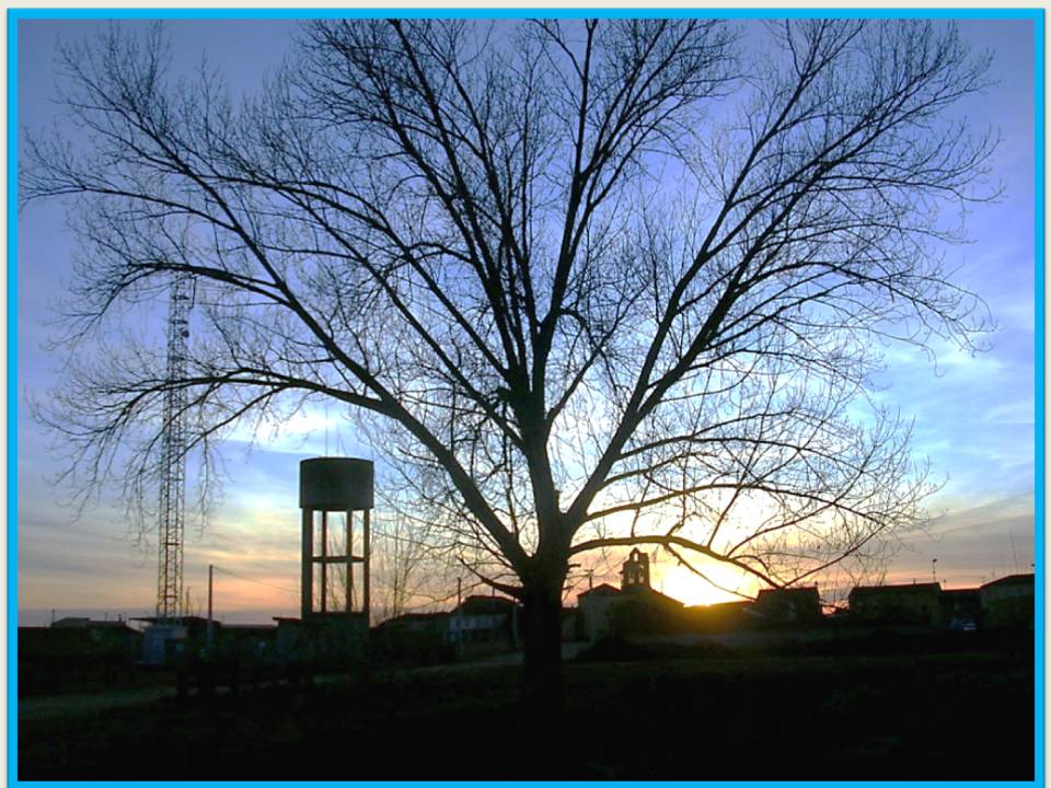 Foto: Tarde De Diciembre - Zuares Del Paramo (León), España