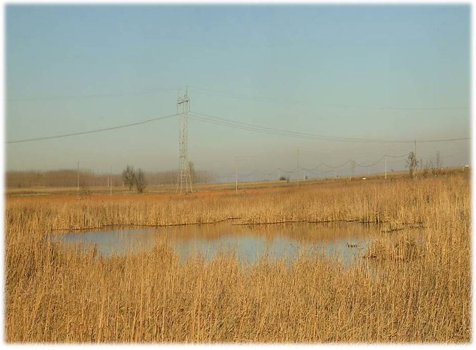 Foto de Zuares Del Paramo (León), España