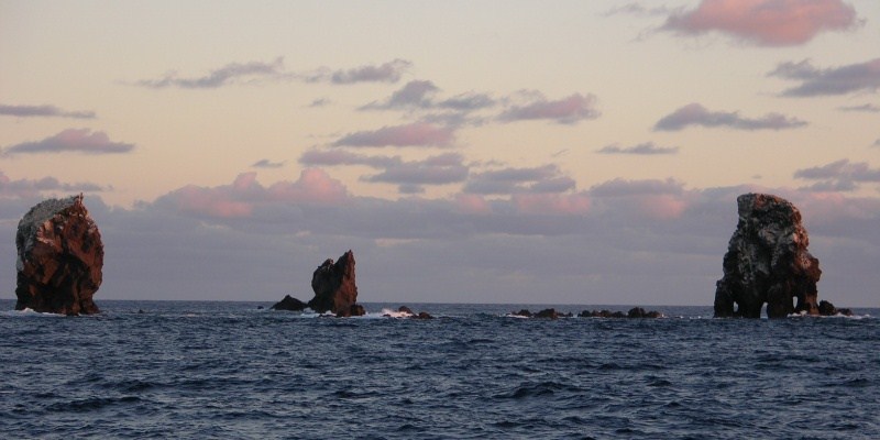 Foto de Alijos (Baja California Sur), México