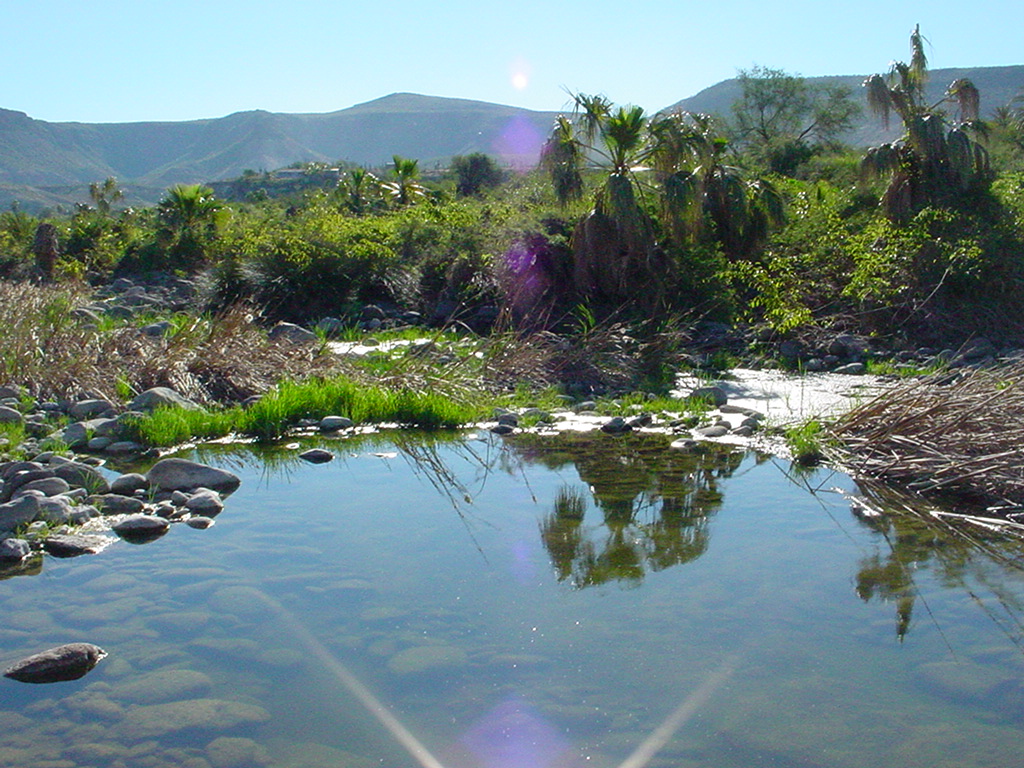 Foto de San Ignacio (Baja California Sur), México