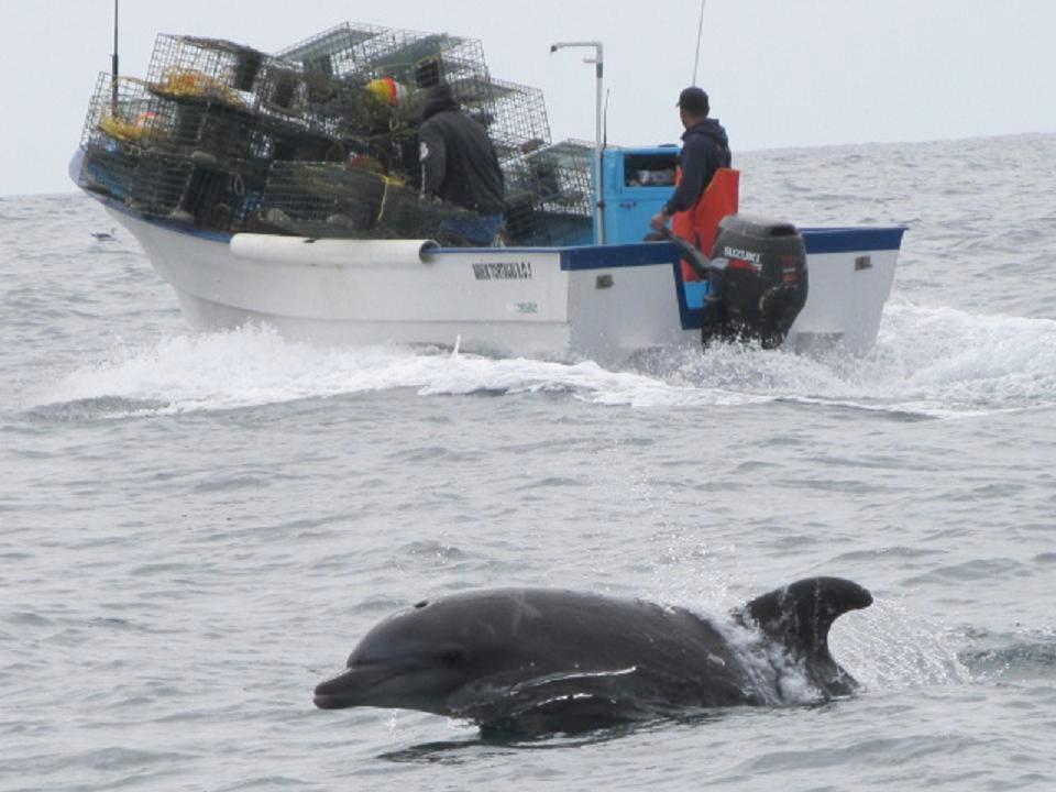 Foto de La Costa (Baja California Sur), México