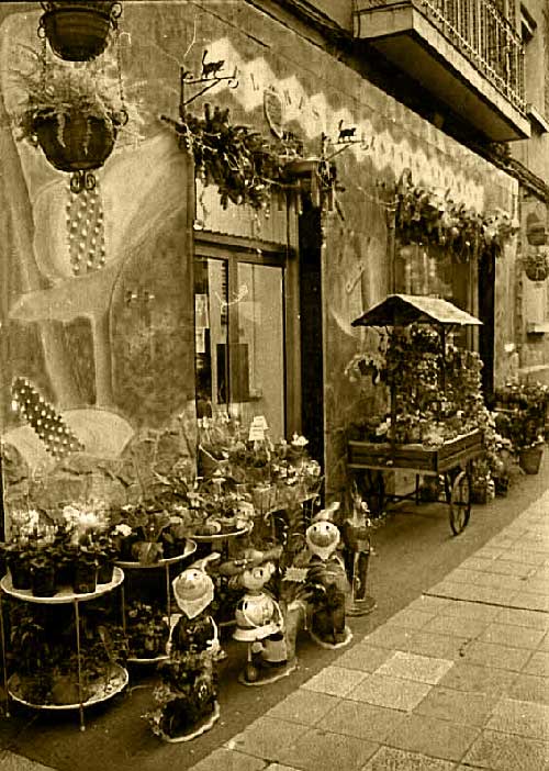 Foto: Estilo Arget (floristeria) - Mieres (Asturias), España