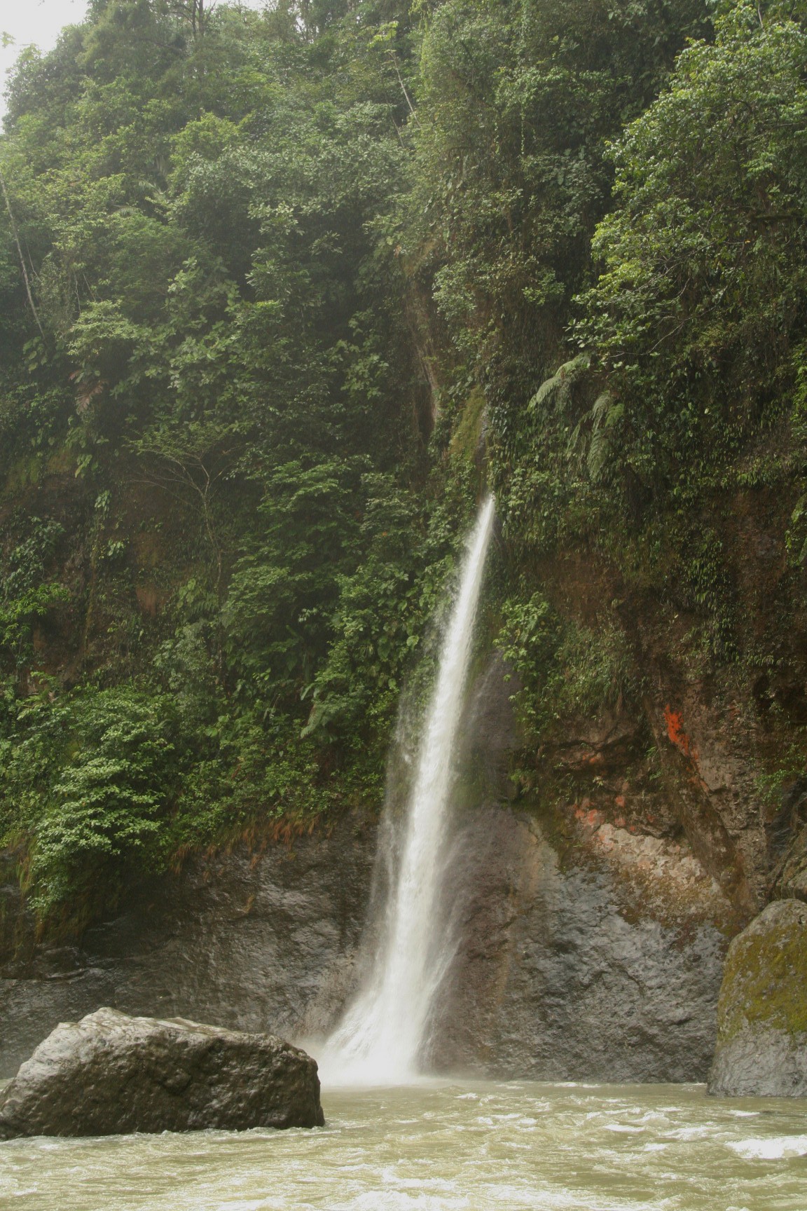 Foto de Pacuare (Limón), Costa Rica