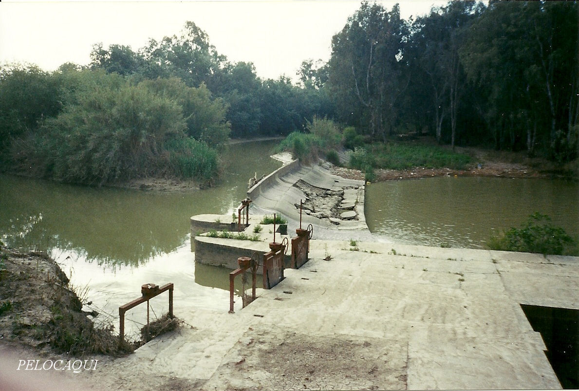 Foto de Palma Del Rio (Córdoba), España