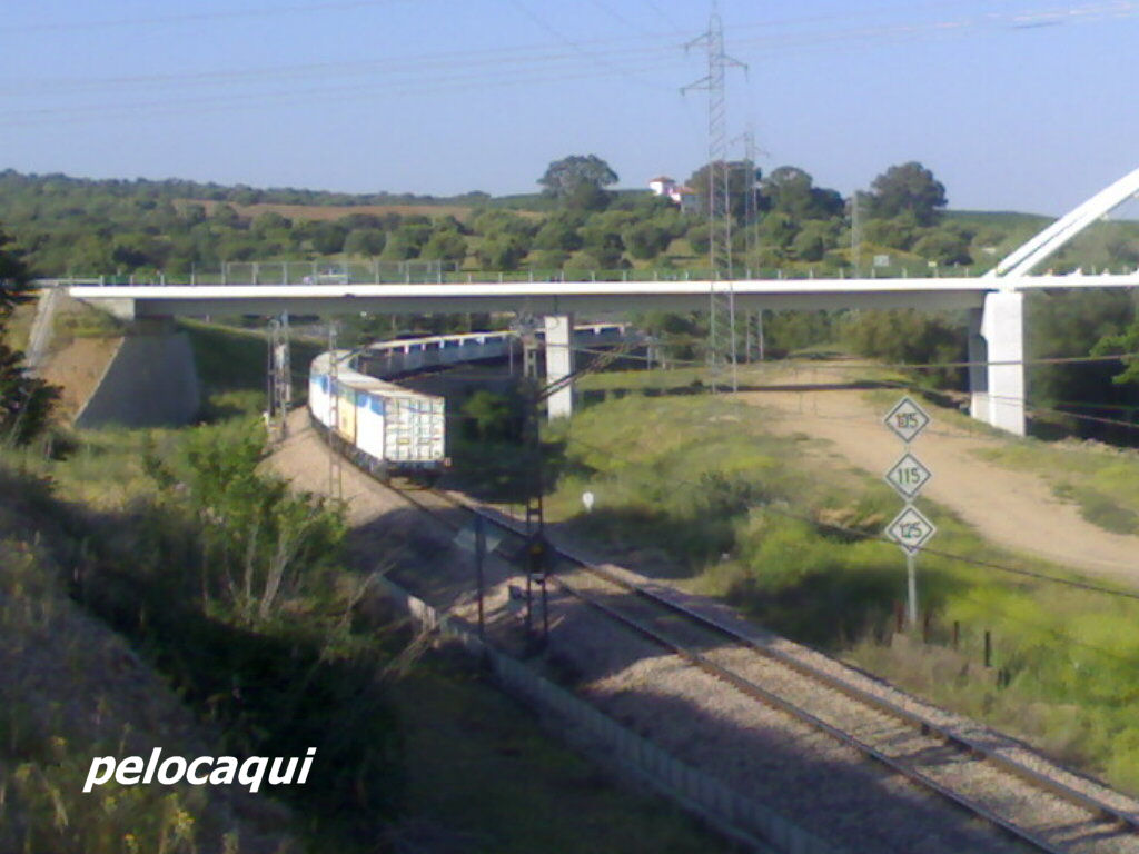 Foto de Palma Del Rio (Córdoba), España