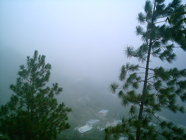 Foto: NEBLINA - Carache (Trujillo), Venezuela