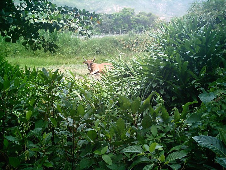 Foto: La Concepción - Carache (Trujillo), Venezuela