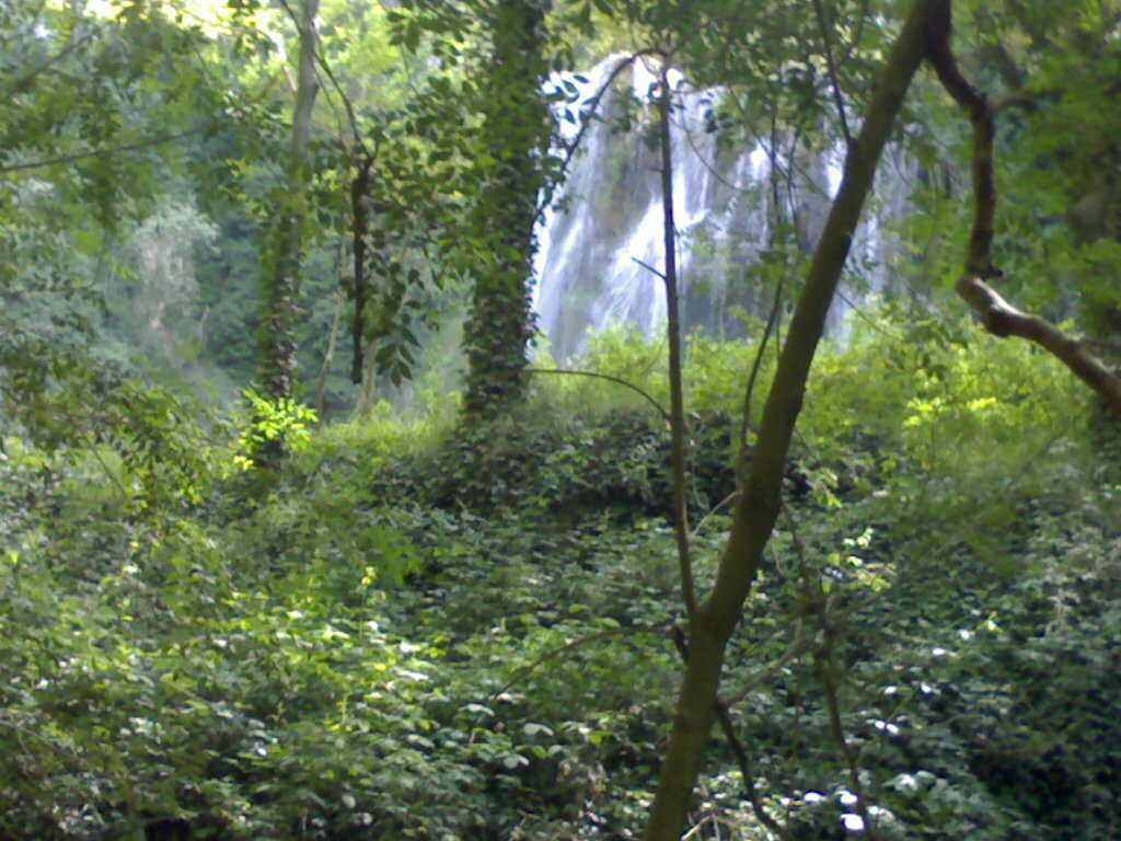 Foto de Palma Del Rio (Córdoba), España