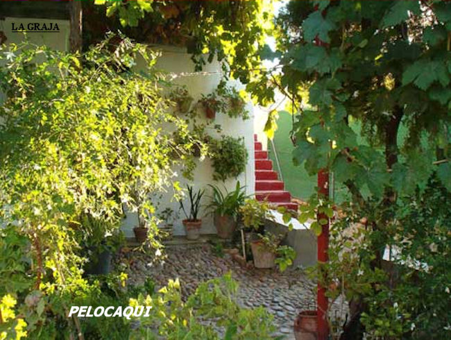 Foto de Palma Del Rio (Córdoba), España