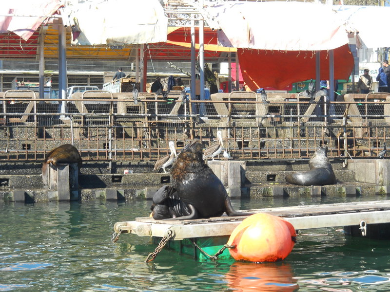 Foto: Valdivia - Valdivia (Región de Los Ríos), Chile