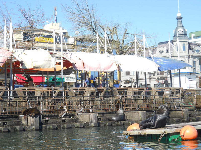 Foto: Valdivia - Valdivia (Región de Los Ríos), Chile