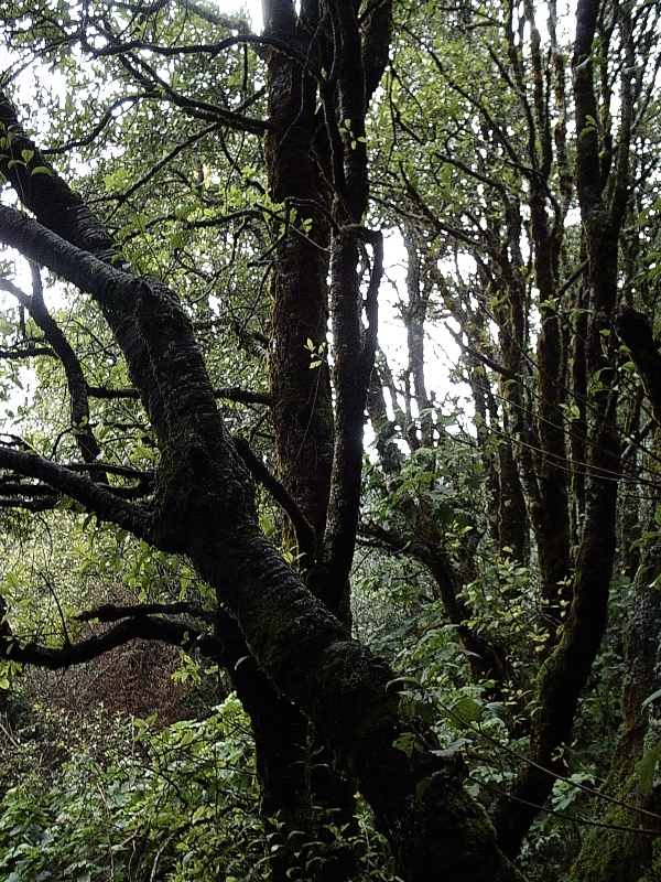 Foto de Centro Ceremonial Otomí (México), México