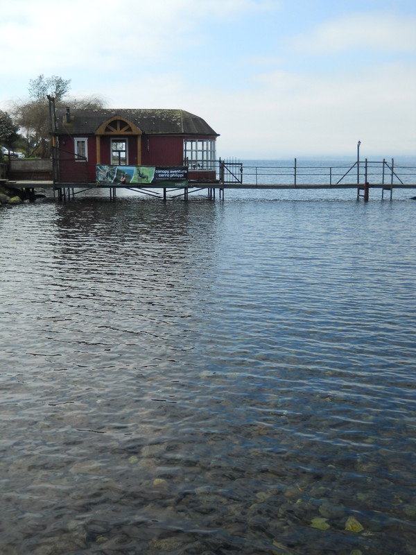 Foto: Puerto Varas - Puerto Varas (Los Lagos), Chile