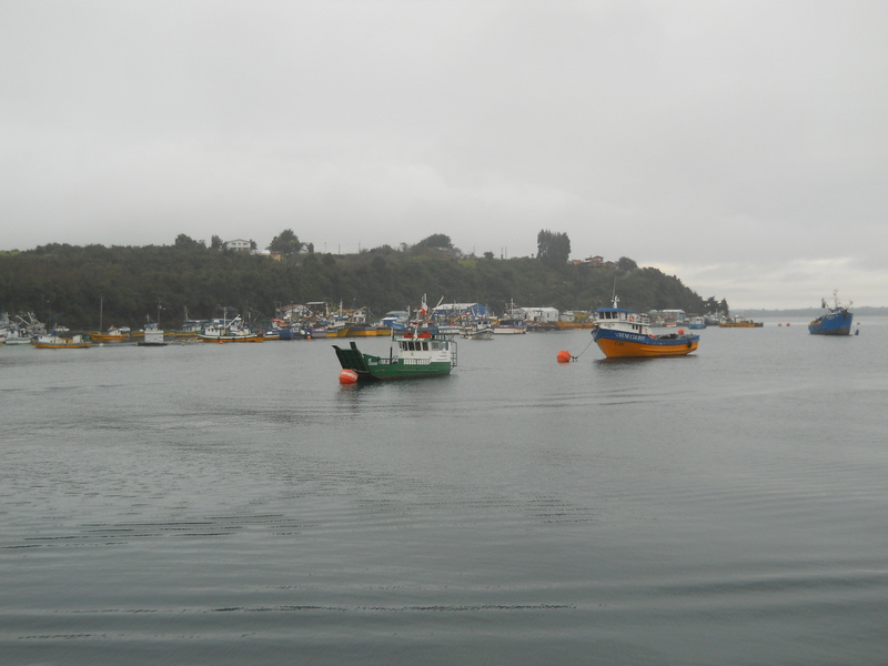 Foto: Calbuco - Calbuco (Los Lagos), Chile