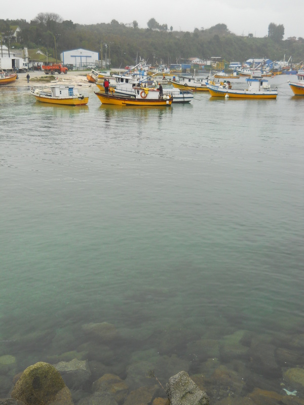 Foto: Calbuco - Calbuco (Los Lagos), Chile