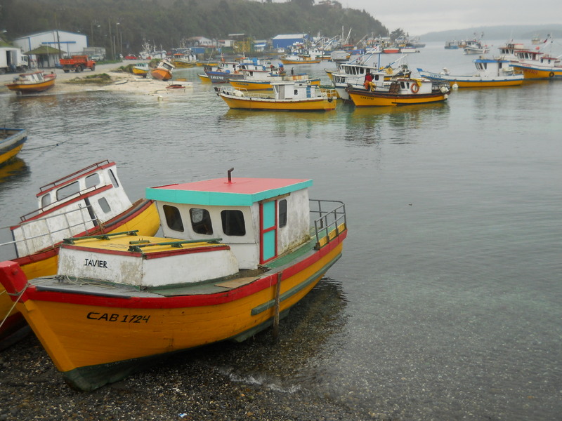 Foto: Calbuco - Calbuco (Los Lagos), Chile