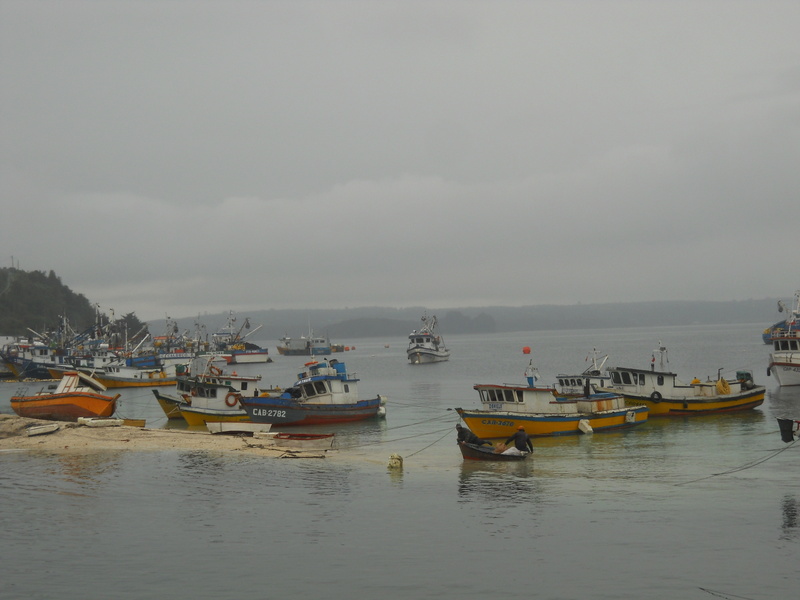 Foto: Calbuco - Calbuco (Los Lagos), Chile