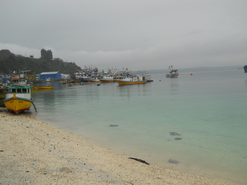 Foto: Calbuco - Calbuco (Los Lagos), Chile