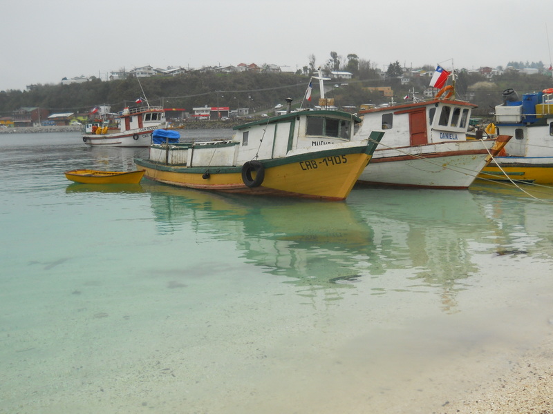 Foto: Calbuco - Calbuco (Los Lagos), Chile