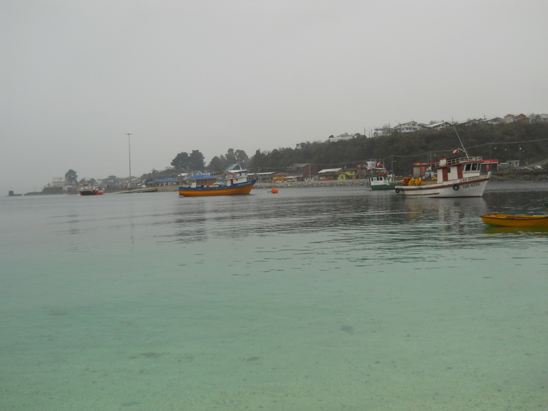 Foto: Calbuco - Calbuco (Los Lagos), Chile