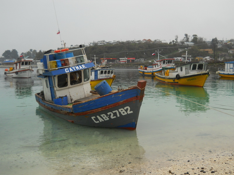 Foto: Calbuco - Calbuco (Los Lagos), Chile