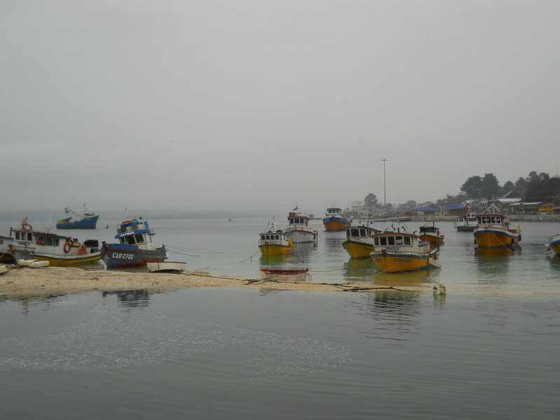 Foto: Calbuco - Calbuco (Los Lagos), Chile