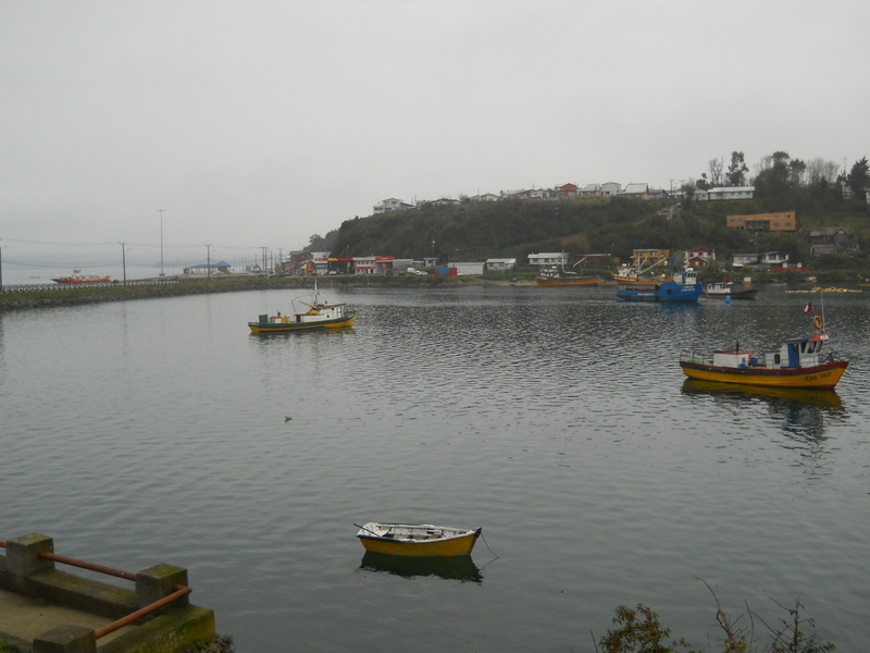 Foto: Calbuco - Calbuco (Los Lagos), Chile