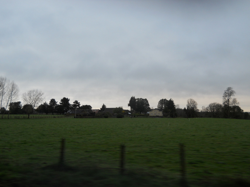 Foto: Fresia - Fresia (Los Lagos), Chile