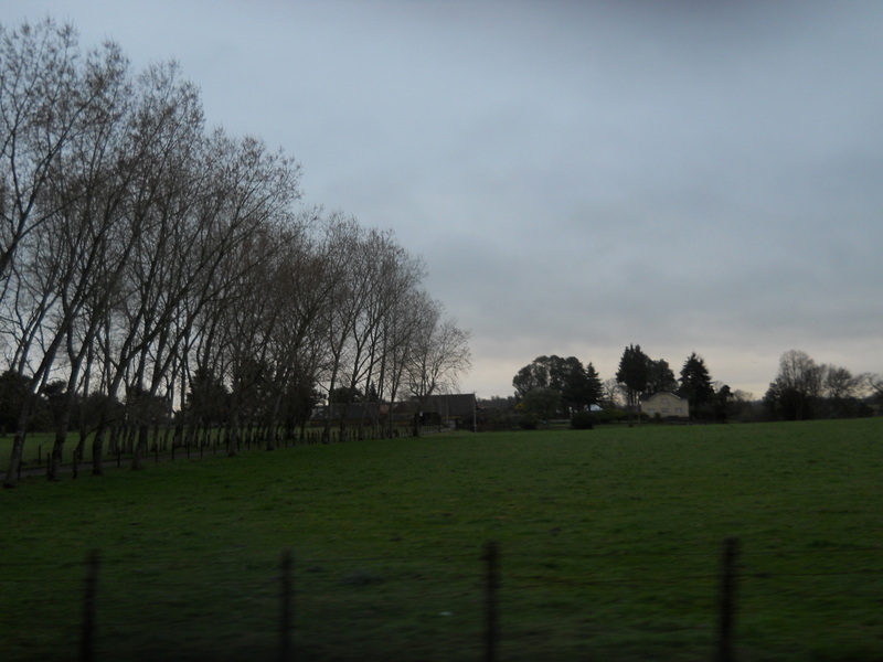 Foto: Fresia - Fresia (Los Lagos), Chile