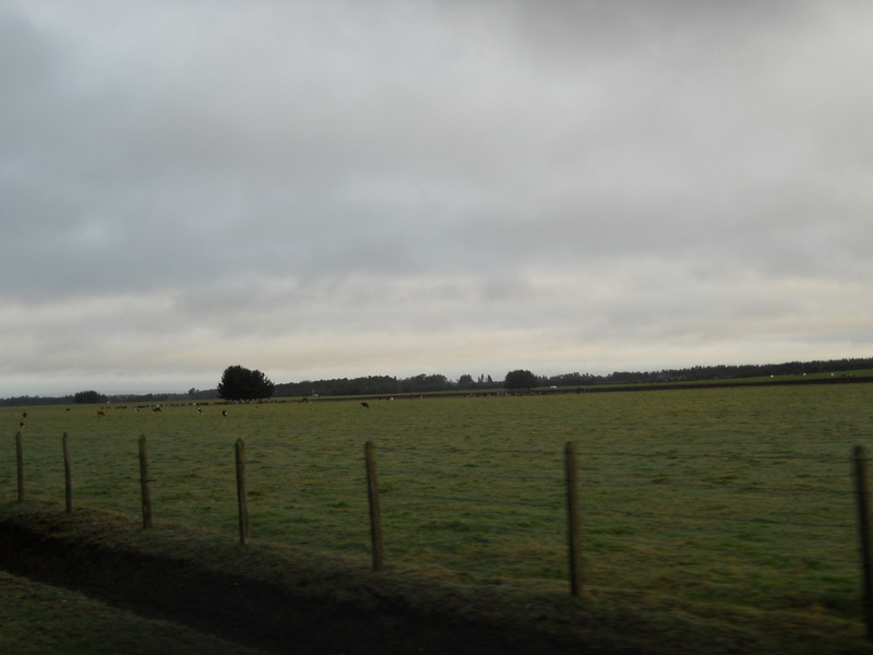 Foto: Fresia - Fresia (Los Lagos), Chile