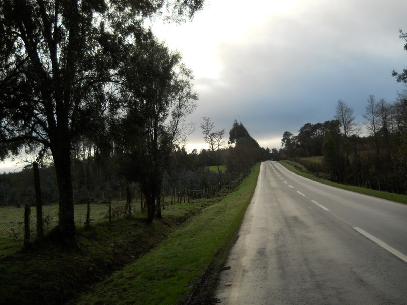 Foto: Fresia - Fresia (Los Lagos), Chile