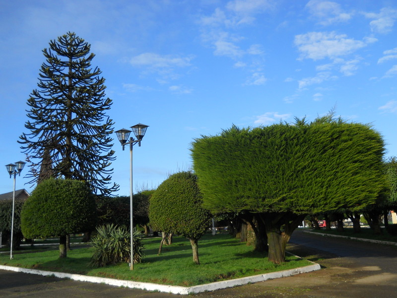 Foto: Fresia - Fresia (Los Lagos), Chile