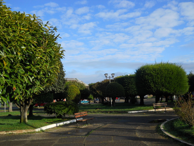 Foto: Fresia - Fresia (Los Lagos), Chile